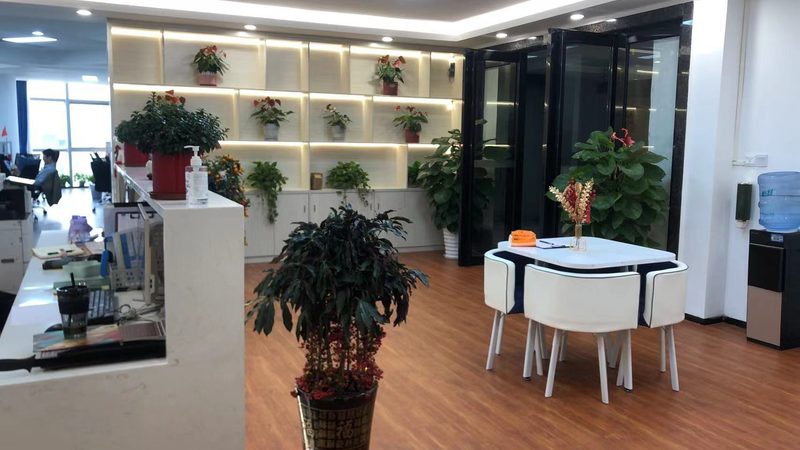 IPO审计衔接：实战经验与关键要点解析