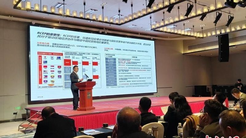 股权分配：初创企业如何避免股权纠纷**